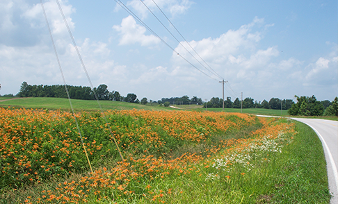 Minnesota’s Electric Cooperatives Lead Statewide Initiatives for Consumers