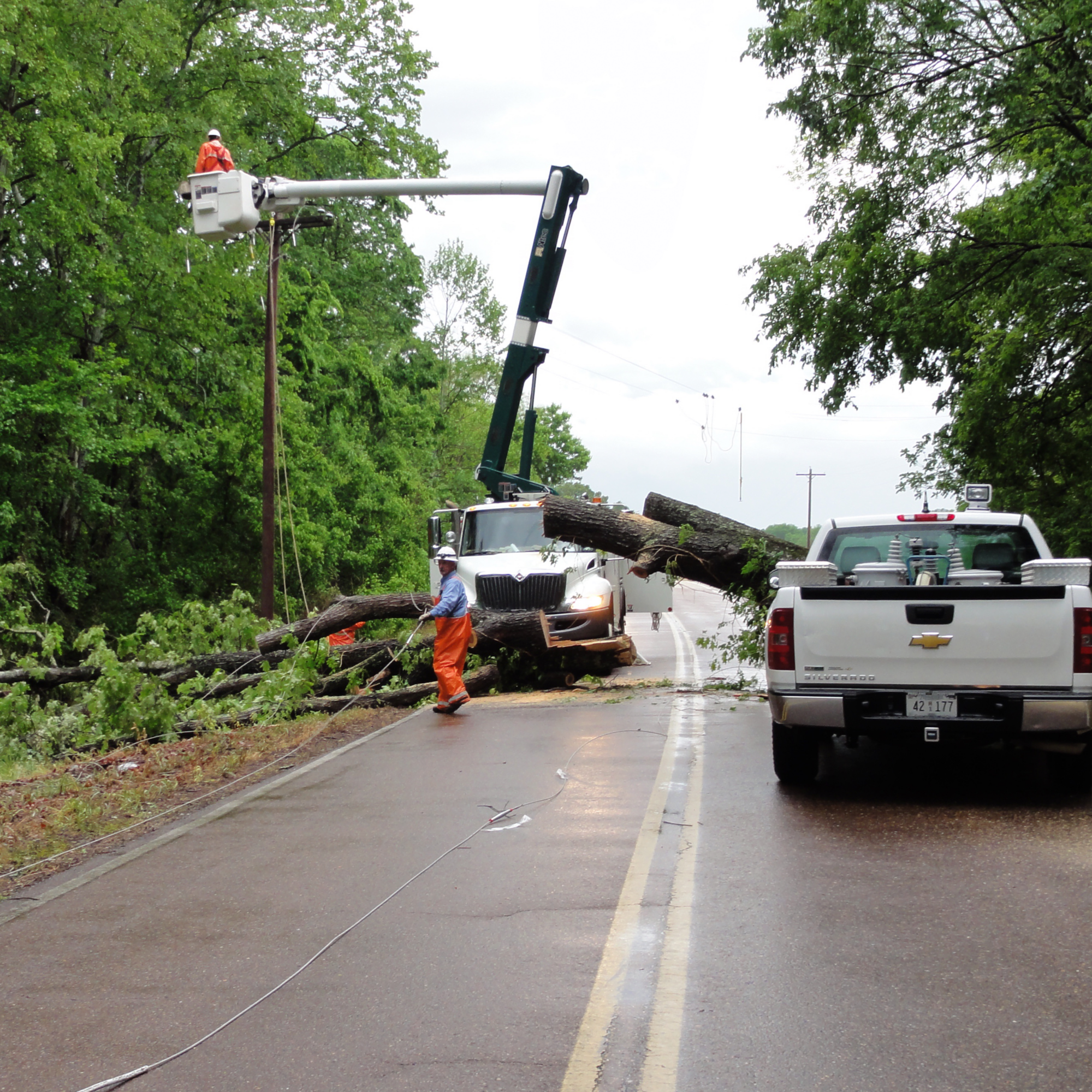 lineworkers restoring a fallen pole