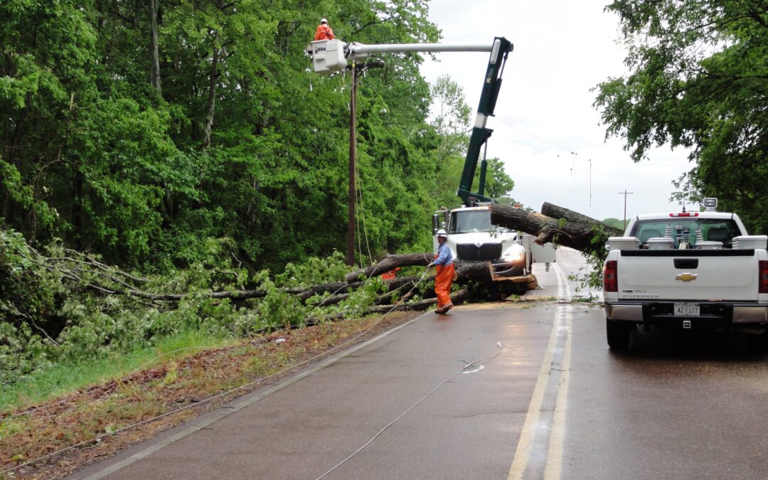 Summer Reliability Report for Minnesota and region shows “elevated risk of supply shortfalls” during heat waves or abnormal weather