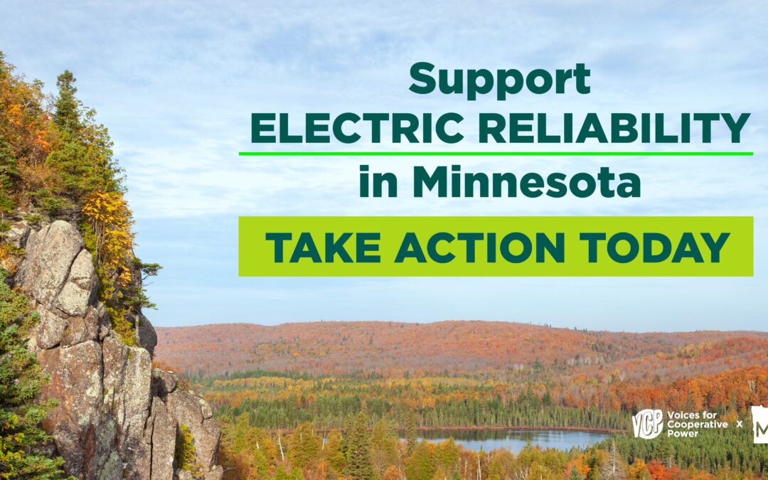 Take Action – Make Your Voice Heard Through Voices For Cooperative Power (VCP)